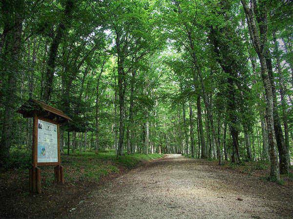 Ca Sal Holiday Home Лезіна Екстер'єр фото