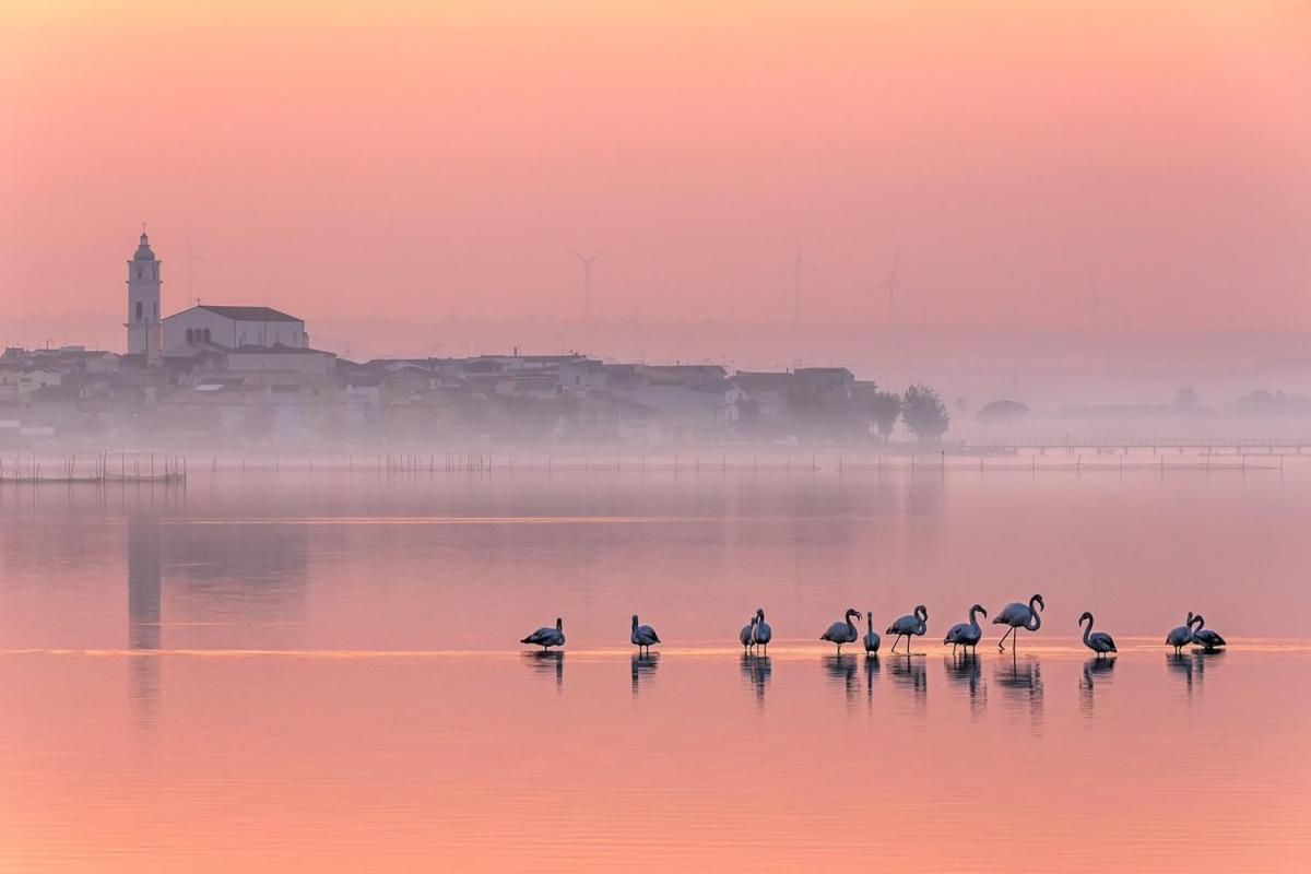 Ca Sal Holiday Home Лезіна Екстер'єр фото